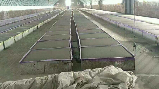 0000456005555.jpg 0000456005555.jpg