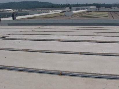 ccct456006666.jpg ccct456006666.jpg