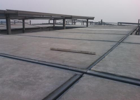 wttsl5y01.jpg wttsl5y01.jpg